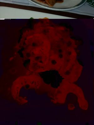 ";shrimp"; w/ hot chili sauce at Veggie Heaven in Montclair