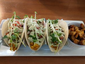 Tacoa at Healthy Mama in Tecumseh