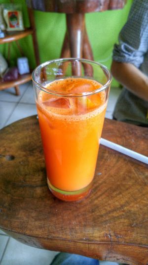 Carrot Juice at Garden of Eden in Santa Elena De Monteverde