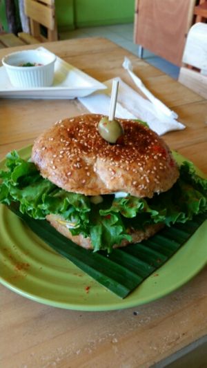 delicious veggieburger at Garden of Eden in Santa Elena De Monteverde