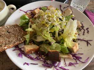 GustaV salad with tofu  at GustaV in Salzburg