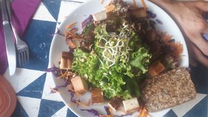  at GustaV in Salzburg