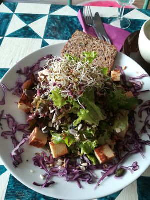 GustaV Salad at GustaV in Salzburg