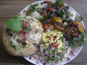 Bread bun and salad at Misa Lisa Mega Vegan in Poznan