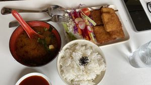 Tofu schnitzel  at Tofu An in Binyamina