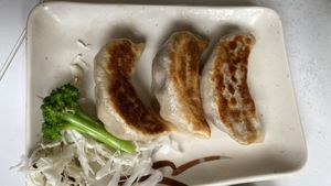 Momo at Tofu An in Binyamina