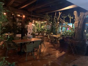 Beautiful courtyard out back  at 100% Natural in Cancun