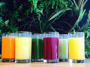 Juices at Seed to Leaf Organics in Santa Rosa