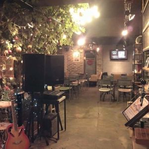 Cozy cafe at Cafe Inu Eco Natural - 카페 이누 in Seoul