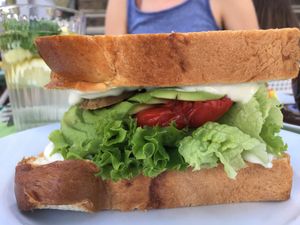 Monster sandwich 😂 at Cafe Michelle in Warsaw