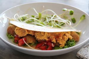 Pure falafel.  at Pure Koh Lanta in Koh Lanta