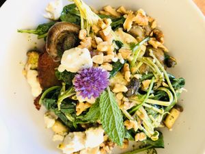 Potato hash browns with mushrooms, vegan feta, greens, walnuts, so filling and delicious  at Kallista Tea Rooms in Kallista