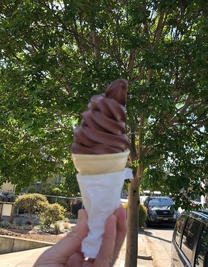 Vegan Chocolate Soft Serve at Curbside Creamery in Oakland