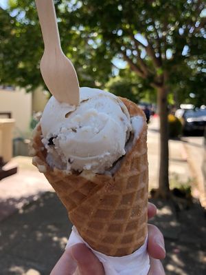 Vegan Cookie Dough and Mint Chip with waffle cone at Curbside Creamery in Oakland