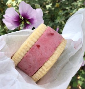 Yummy Vegan Shortbread and Strawberry  at Curbside Creamery in Oakland
