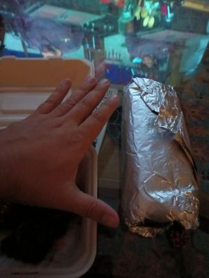 This burrito made me go "what the fuck who makes burritos this big?!" at Homegrown Smoker in Portland