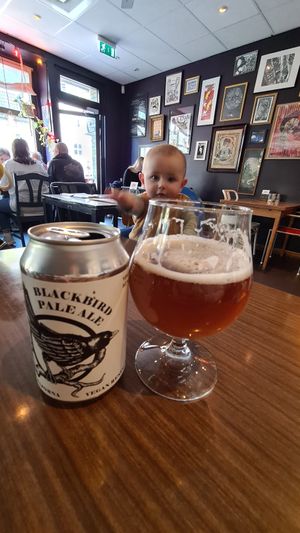  at Blackbird in Gothenburg