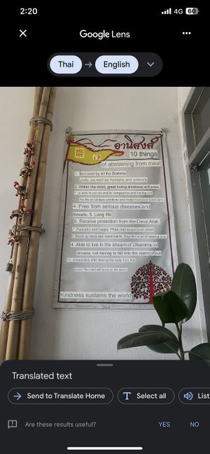   at Vegan Khunnay in Koh Samui
