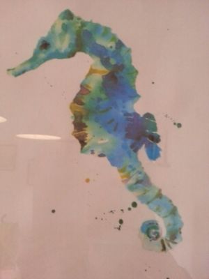 decoration at Alcachofra Cafe in Faro