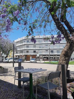  at Alcachofra Cafe in Faro