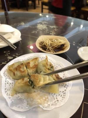 Potstickers at Nature's Vegetarian 天然素食馆 - Bangsar Baru in Kuala Lumpur