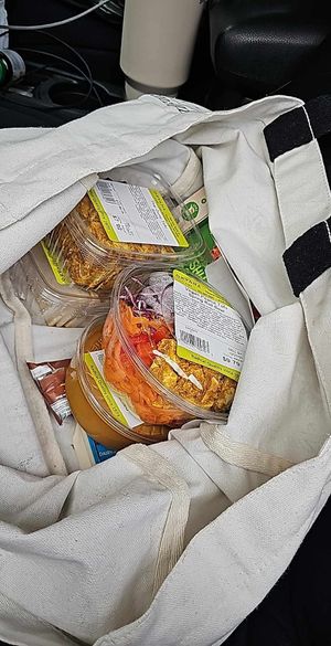 2 kinds of Grab n go house seasoned Tofu, peanut tofu spring roll bowl, peanut sauce, frozen vegan chkn tikki masala at Oryana Natural Foods Market in Traverse City