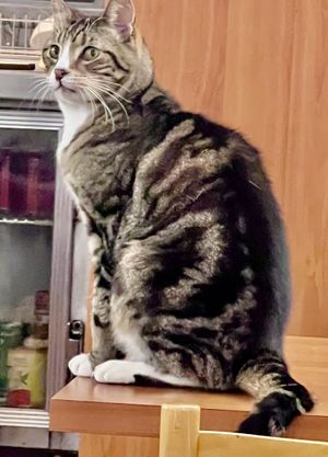   at Green Gourmet in St Leonards