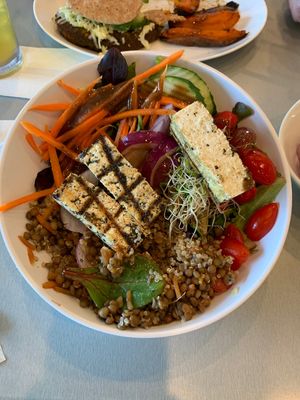 Quinoa salad with grilled tofu.  at Gourmet Garden Cafe & Juices in Fort Lauderdale
