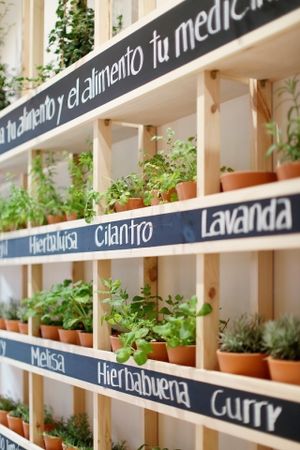 Macetas at A Factoria Verde in A Coruna