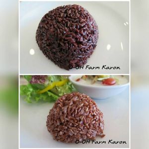 thai rice at O-OH Farm Karon in Phuket
