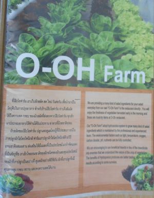 O-OH Farm Karon at O-OH Farm Karon in Phuket