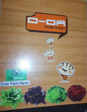 O-OH Farm Karon at O-OH Farm Karon in Phuket