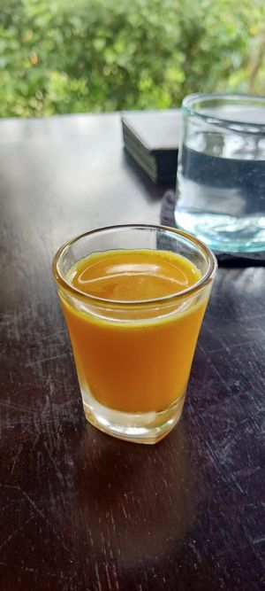 Digestion shot at Moksa in Ubud