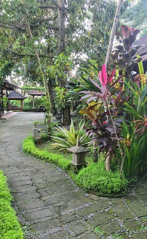 at Moksa in Ubud