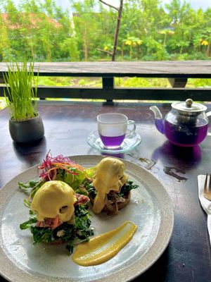 Salmon Benedict – Living bread topped with papaya salmon, swirled spinach, avocado, caramelized onion, fresh spring salad, and silky coconut hollandaise. at Moksa in Ubud