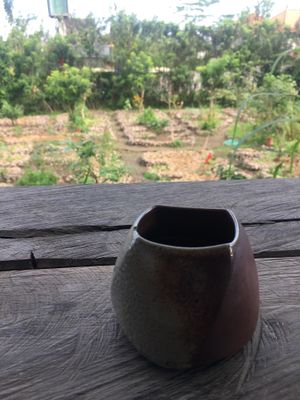 Beautiful view of the organic gardens  at Moksa in Ubud