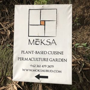 Plant based cuisine and permaculture garden  at Moksa in Ubud