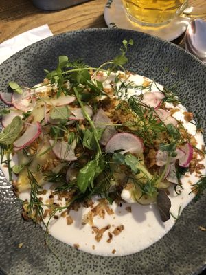 Pirohy   at Pastva in Prague