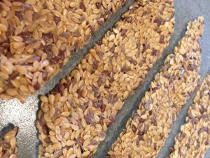 Flax Chips  at Kindly Kitchen in Boone