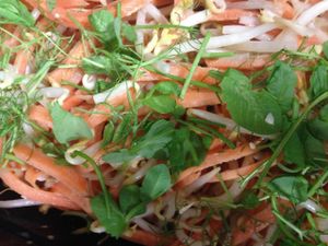 Sweet potatoe noodles at Kindly Kitchen in Boone