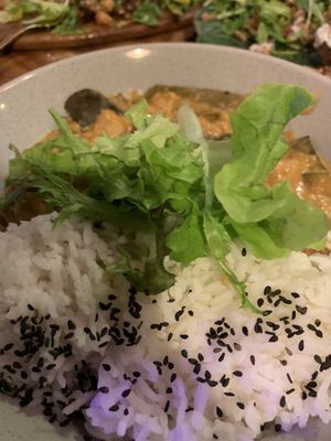 Red curry at Elixiba in Maroochydore