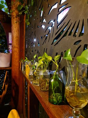  at Elixiba in Maroochydore