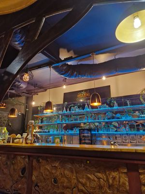  at Elixiba in Maroochydore