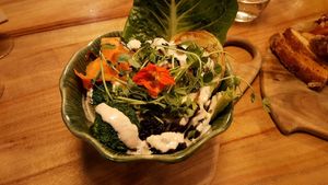 macro bowl with BBQ Jackfruit at Elixiba in Maroochydore