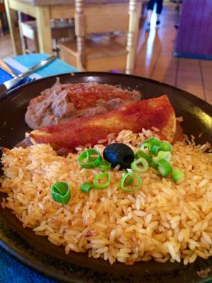 Enchilada; much smaller than it looks. at Montezuma's in Parkdale