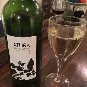 Organic white wine at Kiboko in Tokyo