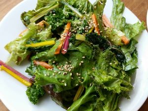 salad at afternoon menu at Kiboko in Tokyo