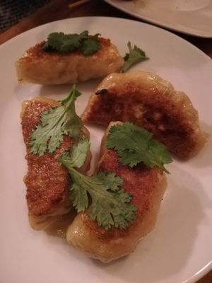 Gyoza at Kiboko in Tokyo