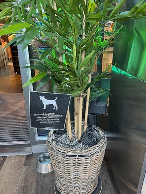 Auch für die Hunde gibt es etwas. at Tibits in Luzern