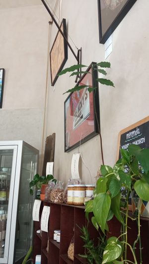 Lovely place! at Ecru in Rome